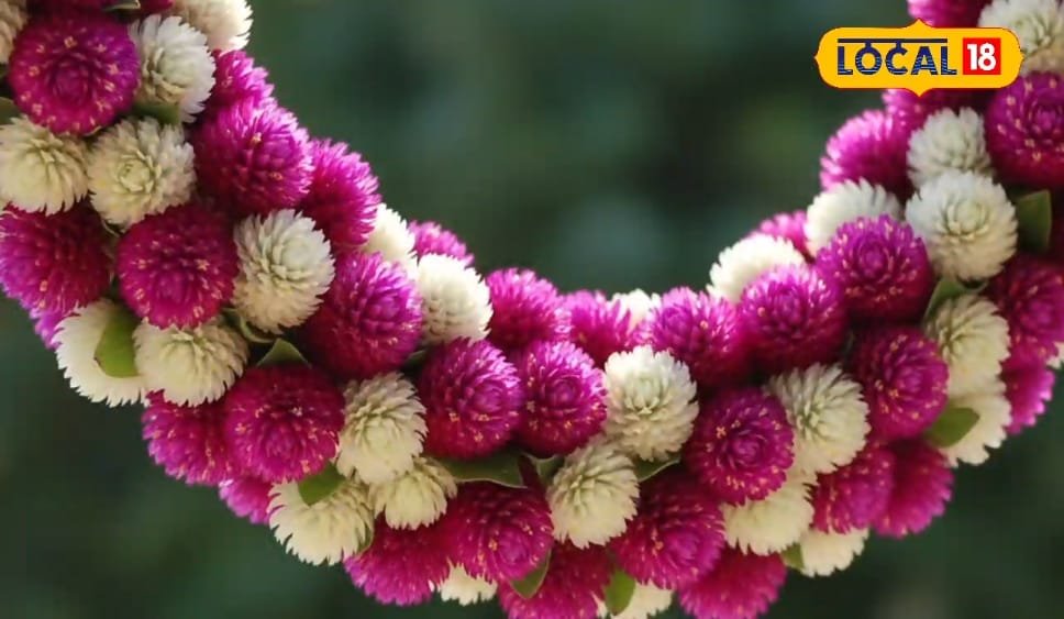 ये है भगवान कृष्ण का प्रिय फूल, मुरली जैसा दिखता और बदलता है रंग!