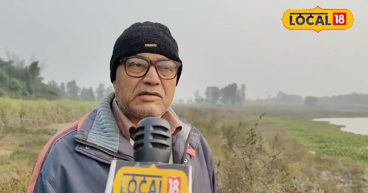 शौक से शुरू किया मत्स्य पालन: मेहनत, प्रशिक्षण और सही योजना से बना सफल फिश फार्मिंग बिजनेस, अब लाखों की कमाई