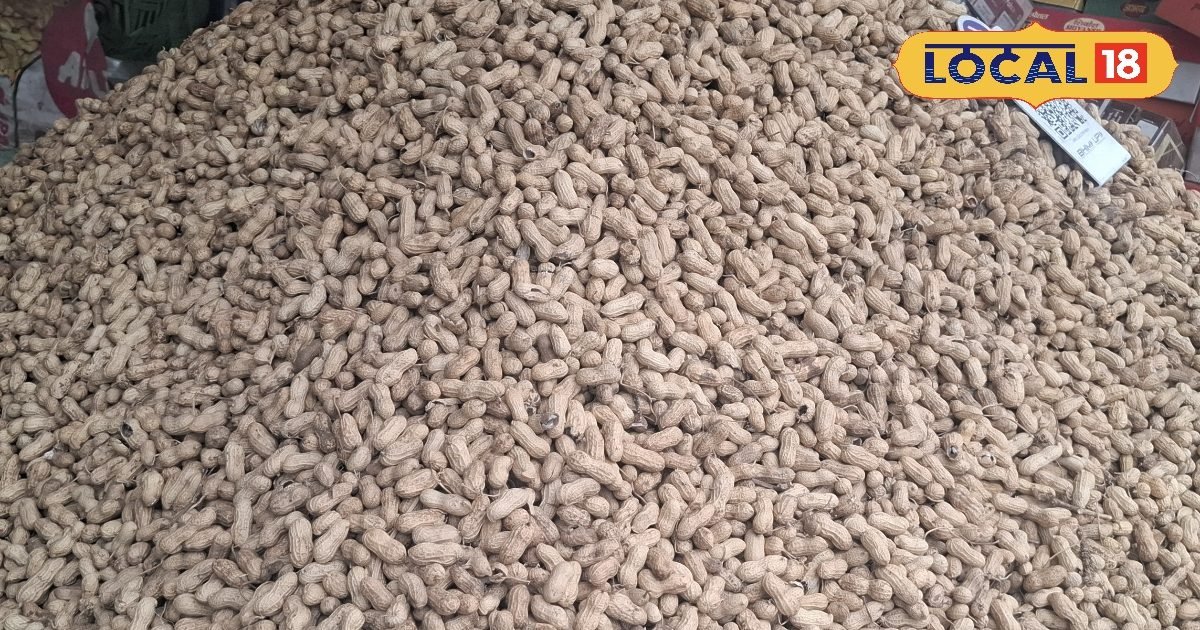 दिल से लेकर पाचन तक… सर्दियों में जानें मूंगफली खाने के जबरदस्त फायदे