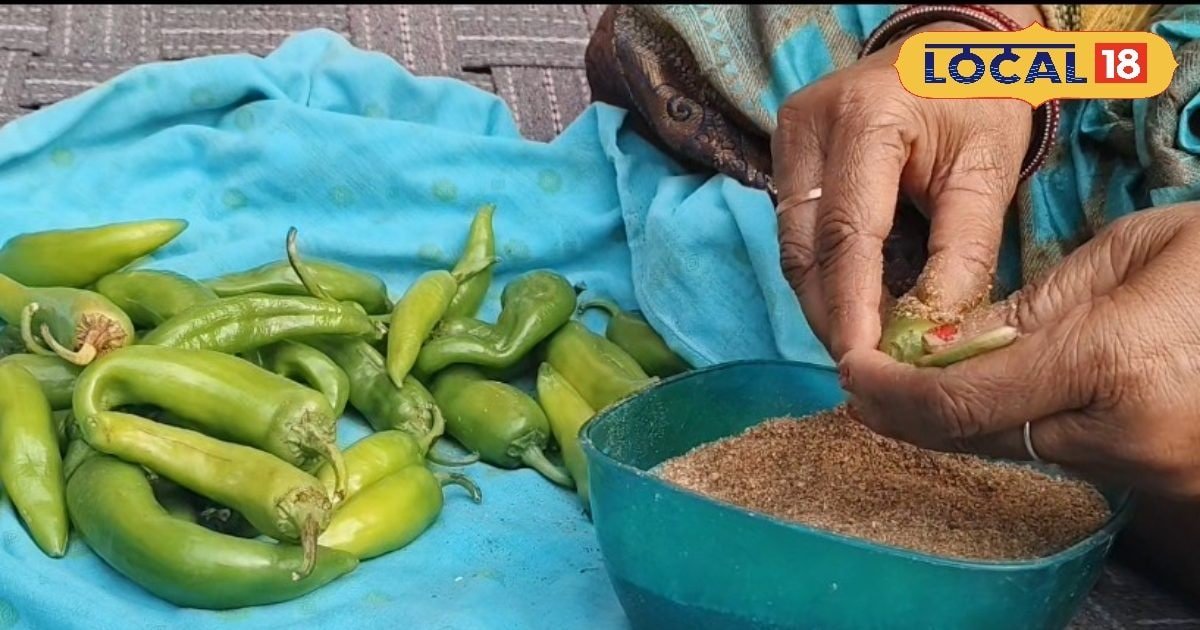 सर्दियों में चटपटा स्वाद चाहिए? घर पर इस तरह बनाएं हरी मिर्च का भरवा अचार, सालों तक नहीं होगा खराब