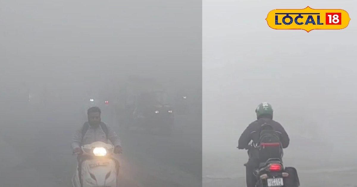 आप जान बचाइए, सरकार पैसा देगी! मेरठ प्रशासन की पहल से बचेंगी हजारों जिंदगियां, क्या है नया आदेश