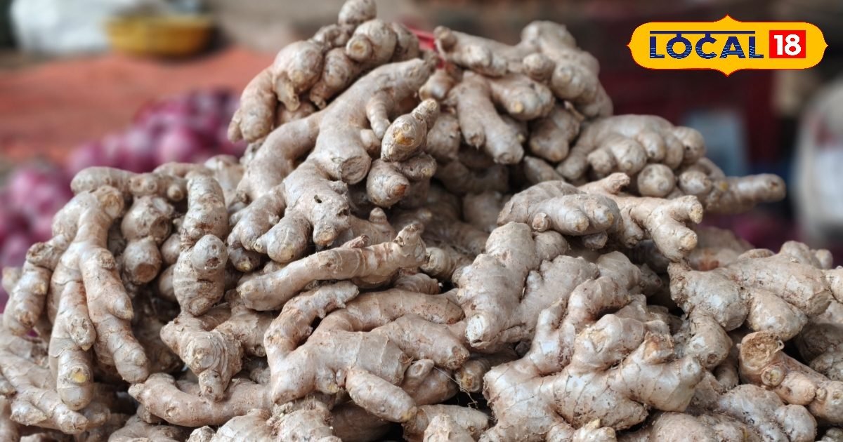 क्या आप रोज खाते हैं अदरक? जानिए इसके बड़े फायदे और ज्यादा खाने के नुकसान