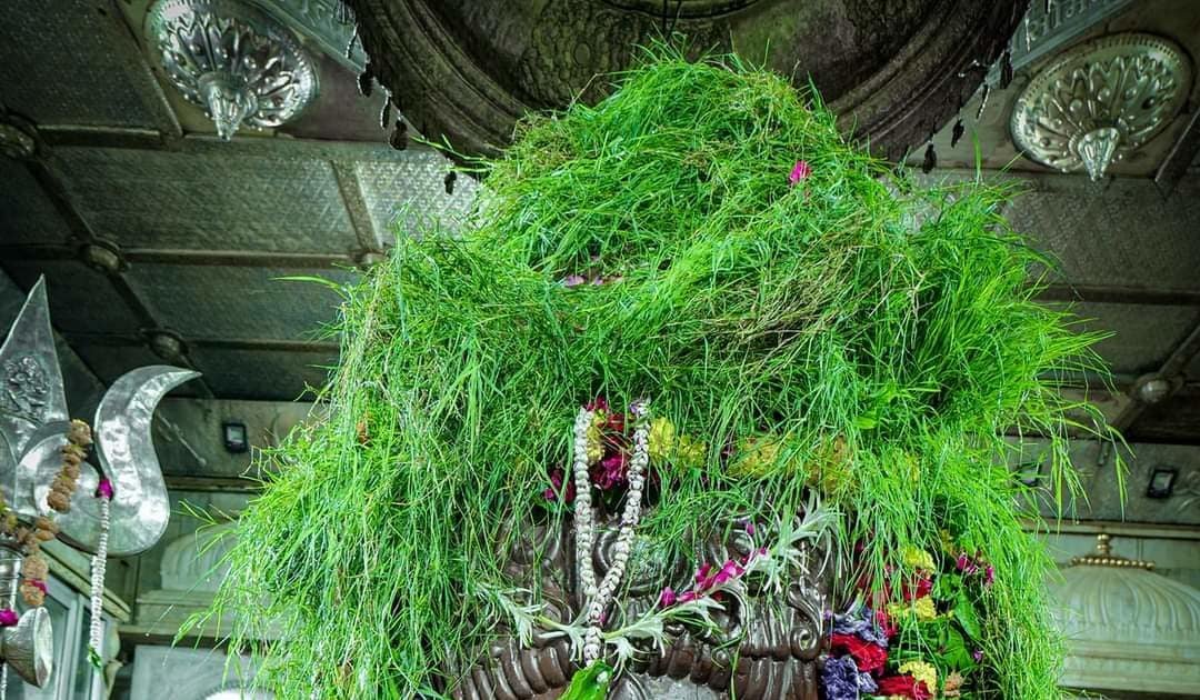 यहां है भगवान पशुपतिनाथ का मंदिर, 15 अगस्त पर होता है दूर्वा अभिषेक, 38 साल पुरानी है परंपरा