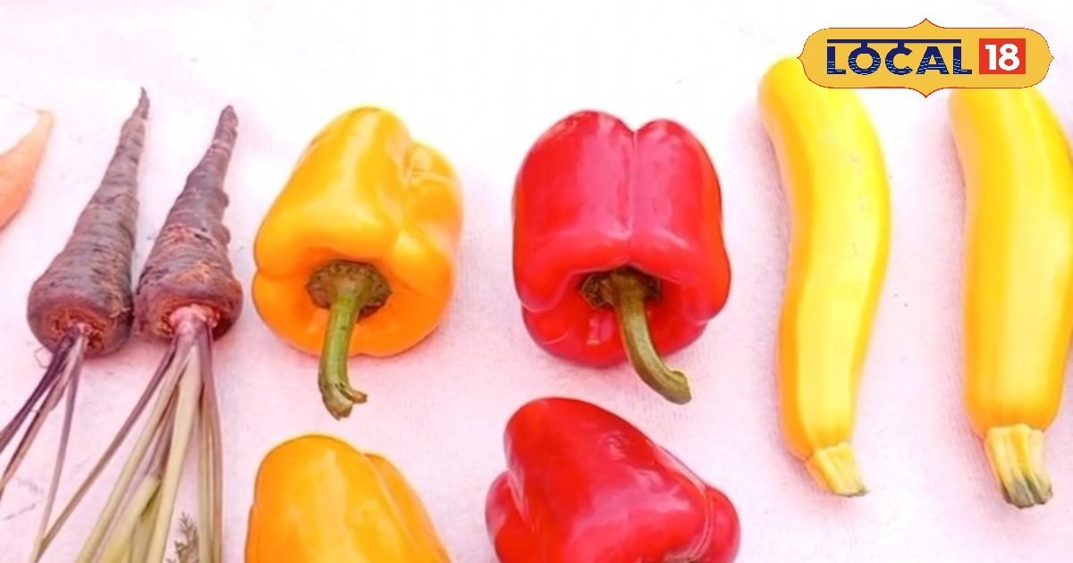 रंग-बिरंगी ऑर्गेनिक सब्जियों की खेती से चमकी शिखा की किस्मत, बंपर हो रही डिमांड