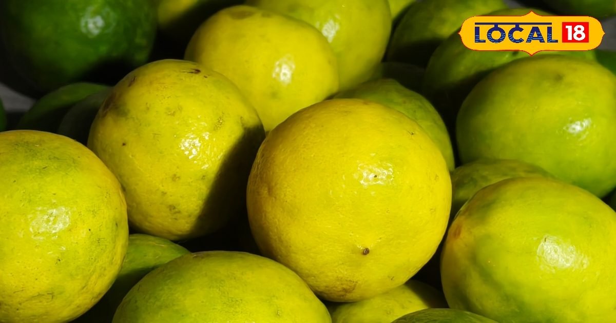 नींबू खरीदते समय ये 5 बातें जरूर देखें, वरना घर पहुंचकर निकल सकता है सूखा!