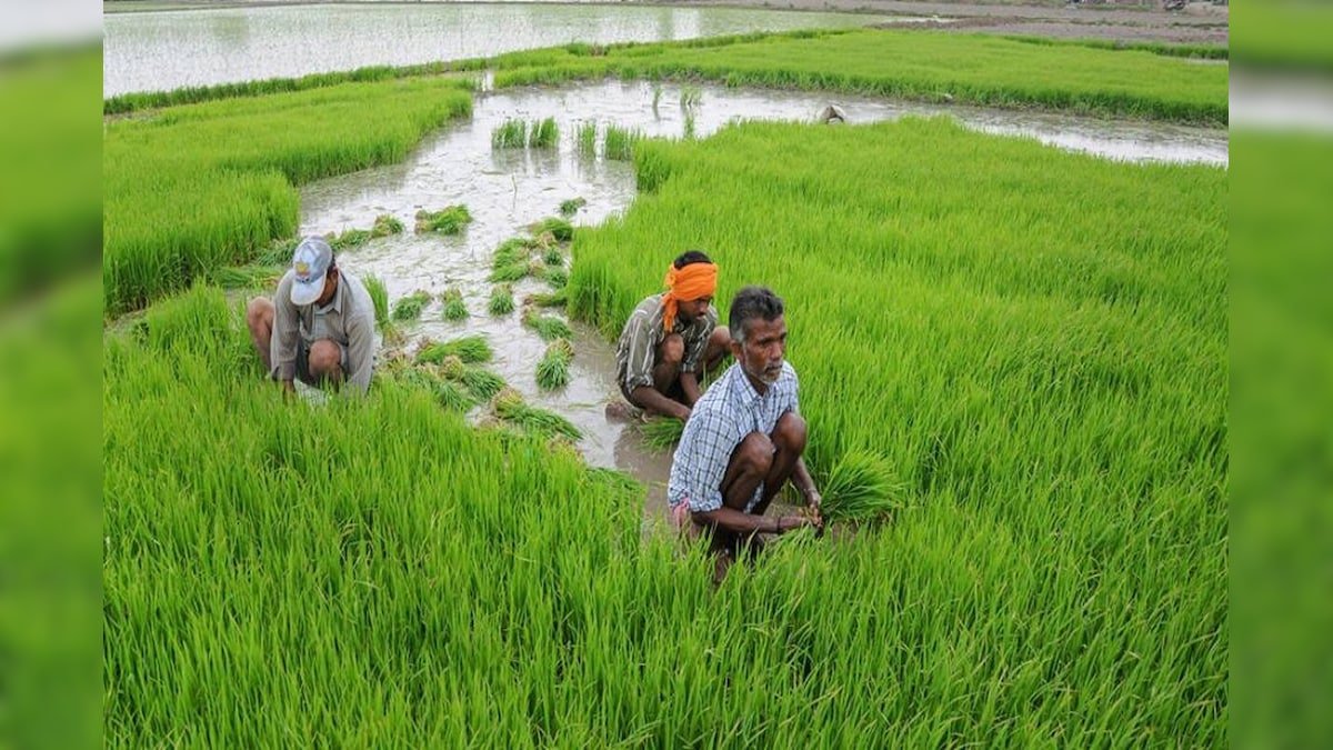 इंटीग्रेटेड फार्मिंग: छोटे से खेत में भी कमा सकते हैं लाखों रुपये, जानिए इसके बारे में सबकुछ