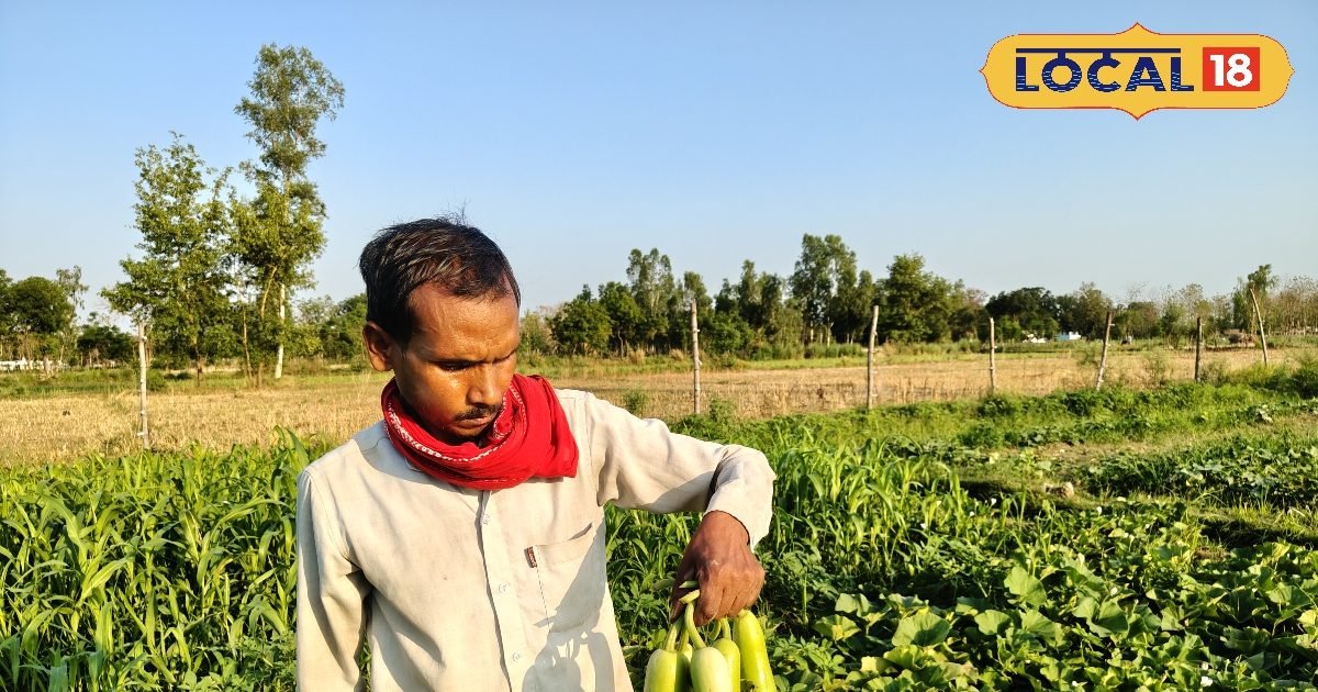 पांचवीं पास गोंडा का ये किसान 2 बीघे से छाप रहा नोट, जानिए लाखों की कमाई का तरीका
