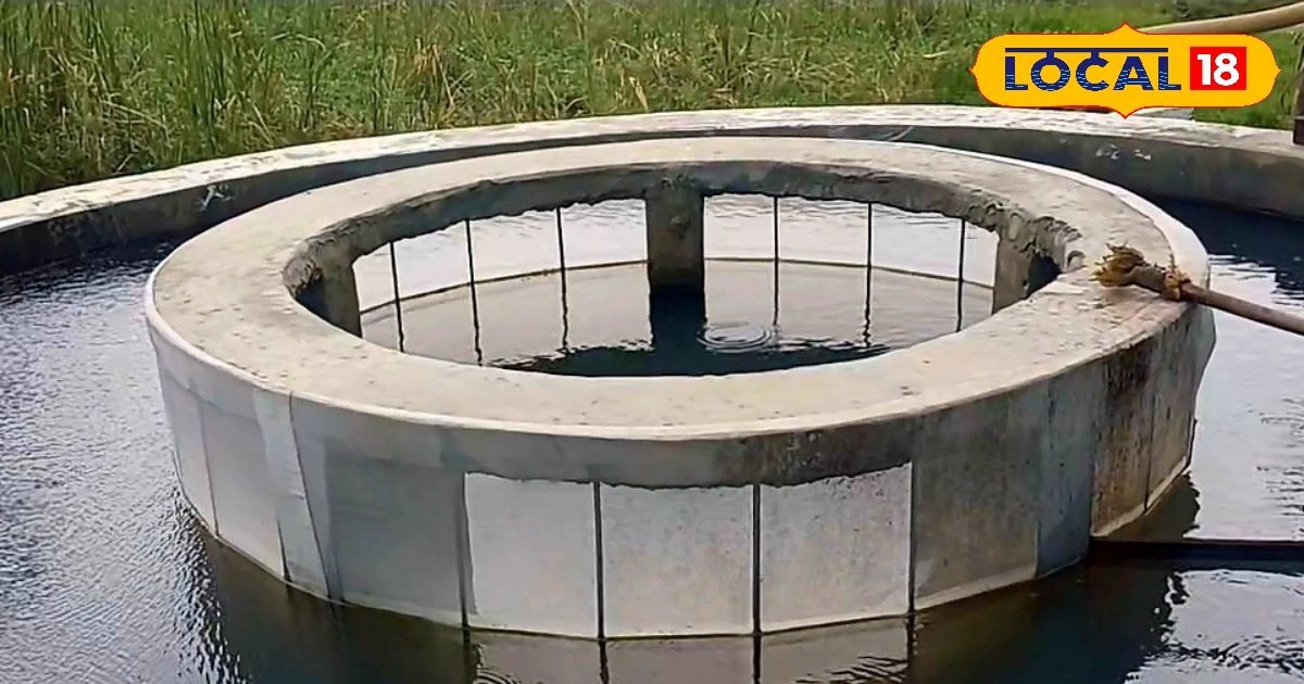 खेती से नहीं बनी बात, सत्येंद्र ने मछली बीज से खड़ा किया कारोबार, हर सीजन 90 लाख की कमाई