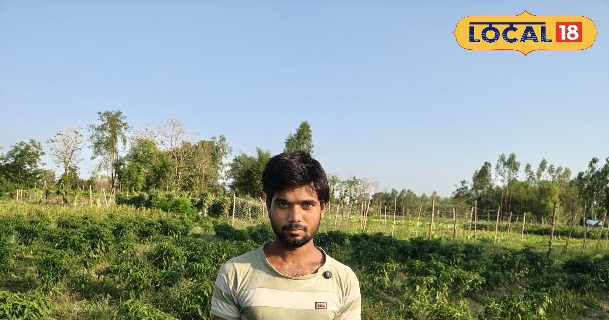 गोंडा का ये किसान खटाखट छाप रहा पैसा, हरी मिर्च और बैंगन की खेती से चमकी किस्मत