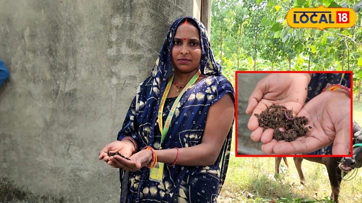 किसानों के लिए वरदान है वर्मी कंपोस्ट, जानिए बनाने की पूरी प्रक्रिया