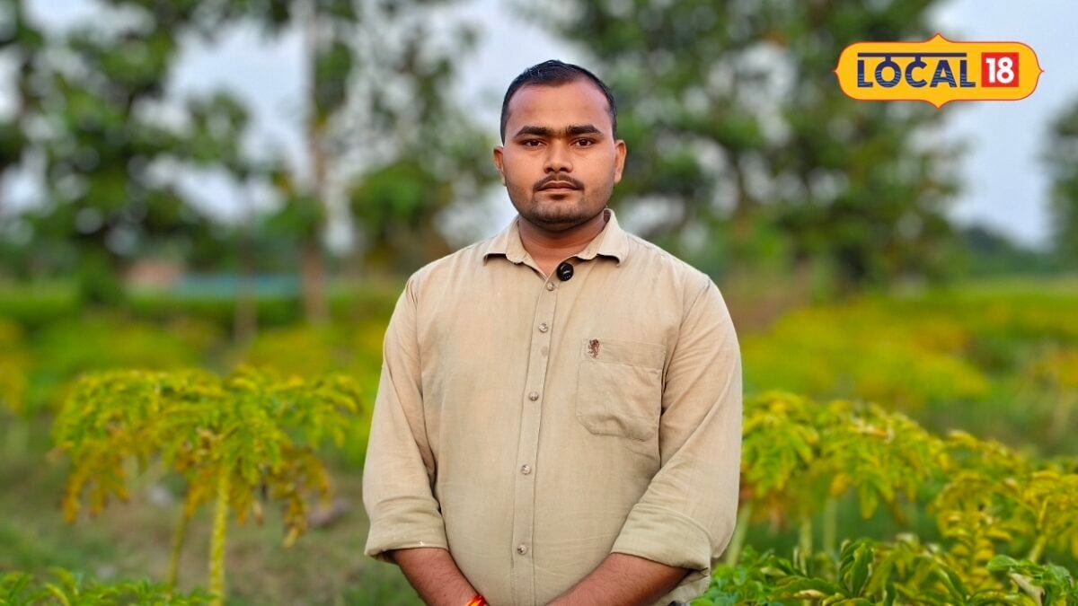 75 हजार लागत, 3 लाख कमाई…गोंडा के जितेंद्र ने लगाई ऐसी फसल, अबू धाबी तक सप्लाई