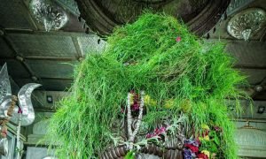 यहां है भगवान पशुपतिनाथ का मंदिर, 15 अगस्त पर होता है दूर्वा अभिषेक, 38 साल पुरानी है परंपरा