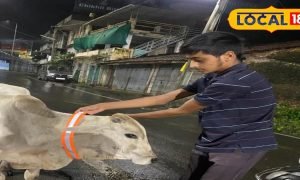 नवसारी के युवाओं ने सड़क हादसे से बचाने के लिए किया कमाल…बचाई कई पशुओं की जान