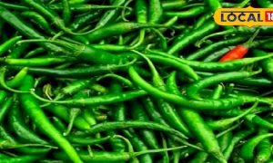 Tips and Tricks: देसी स्टेप्स में तैयार करें हरी मिर्च का अचार, जानिए तरीका