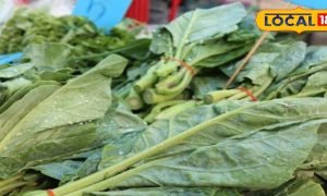 यह सुपर वेजिटेबल कैसे बचाए आपको गंभीर बीमारियों से, पढ़ें खास बातें