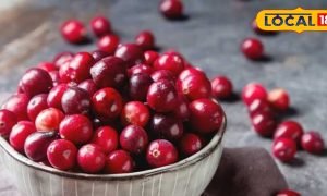 न्यूट्रिएंट्स का पॉवर हाउस है ये लाल फल, हार्ट अटैक के खतरे को कर देता है खत्म, फायदे जान हो जाएंगे हैरान