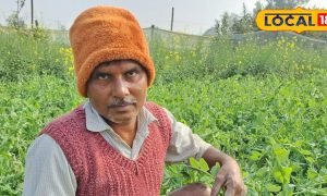लागत 3 से 4 हजार…कमाई 60 से 70 हजार, मालामाल बना देगी यह खेती, बंपर है डिमांड