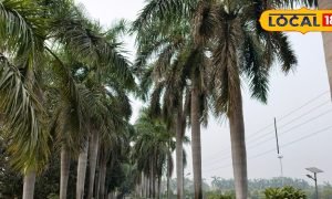 यह है मऊ का बेस्ट पिकनिक स्पॉट, जहां परिवार के साथ कर सकते हैं फुल इंजॉय
