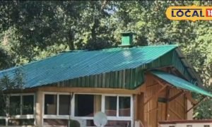 हिरण-सांभर का शिकार, जंगल पर राज… दुधवा के ‘गब्बर’ की कहानी बेहद दिलचस्प