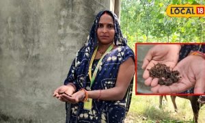 किसानों के लिए वरदान है वर्मी कंपोस्ट, जानिए बनाने की पूरी प्रक्रिया