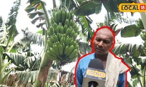 75 हजार रुपये लगाकर कमाए 2 लाख, बहराइच के सियाराम ने की ऐसी खेती, हो रहे मालामाल