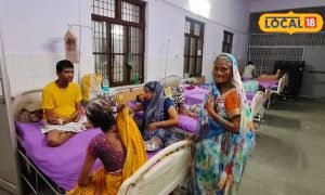 सर्दी, बुखार और गले में दिक्कत… ये बीमारी दिखे तो तुरंत डॉक्टर के पास पहुंचे