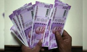 कोरोना महामारी के बीच बंपर कमाई कराने वाला बिजनेस! एक बार पैसा लागकर कमाएं लाखों