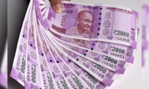 New Business Opportunity-इस बिजनेस में सिर्फ 50 हजार रुपये लगाकर करें 2.5 लाख से ज्यादा की कमाई