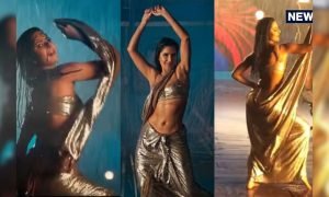 कैटरीना ने 90s के आइकॉनिक गाने पर किया कातिलाना डांस, सिल्वर साड़ी में आग लगाते हुए मिलियंस बटोरे व्यूज!