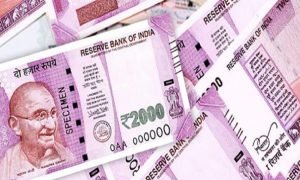 Business Opportunities : बिना पैसे शुरू कर सकते हैं ये बिजनेस, घर बैठे होगा मोटा मुनाफा, जानें पूरा प्रोसेस