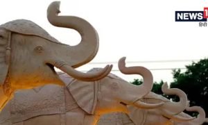 पार्क की सफाई करने वाला बना ठगी का मास्टरमाइंड, लोगों को झांसा देकर ऐंठे लाखों, साथ काम करने वाले भी बने शिकार