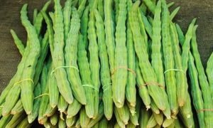 सिर्फ 10 हजार रुपये में शुरू कर सकते हैं खेती, हर महीने होगी ₹2 लाख से अधिक की कमाई, जानें डिटेल