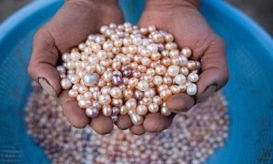 30 हजार रुपये से भी कम में शुरू करें ये कारोबार, हर महीने होगी ₹3 लाख की कमाई, सरकार 50% सब्सिडी देगी