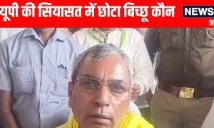 ‘छोटा बिच्छू डंक मारता है तो दर्द होता है’.. राजभर का शिवपाल पर पलटवार
