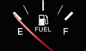 12 लाख रुपये लगाकर शुरू करें ये कारोबार, सालभर में बन जाएंगे 100 करोड़ के मालिक! मार्केट में है खूब डिमांड