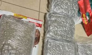 थाईलैंड से 6 करोड़ का ले आया ड्रग्स, लखनऊ एयरपोर्ट पर पकड़ा गया युवक